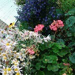 Jean Rigby - @jhrigby - Instagram
