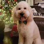 Jean Rigby Peterson - @jeanrpeterson - Instagram