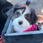 Janet Rispoli Nardone - @janetnardone - Instagram