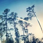 Jean Rochester - @jeanrochester - Instagram