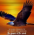 Jean Rohr - Facebook