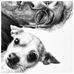 Jean Michel Rothmann - Facebook