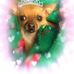 Jean Rothstein Rothstein - Facebook