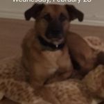Delilah jean rowell - @delilahjeanrowell - Instagram