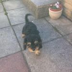 Jean Rowell - @jean.rowell.33 - Instagram