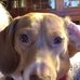 Jean Rowland - Facebook