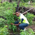 Jean Ruben Gwet - @agricvs2.0 - Instagram
