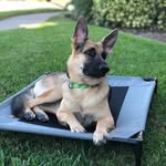Jean Rubenstein - @jeanrubenstein - Instagram