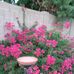 Jean Runge - Facebook