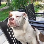Jeannett Runge - @rungejeannett - Instagram