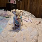 Jean Rushing - Facebook
