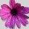 Jean Rutherford - Facebook