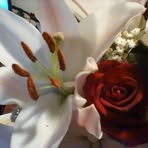 Jean Rutkowski - Facebook