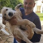 Jean Louis Salmon - @jeanlouissalmon - Instagram