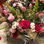Jean Salmon - @jean.salmon.90834 - Instagram