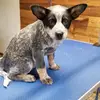 Jeanne sample - @jeanne.sample - TikTok