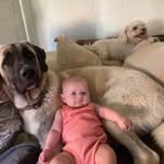 Jean Francois Sattler - @jeanfrancoissattler - Instagram