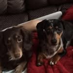 Jean Sawyer - @mikeandjean - Instagram