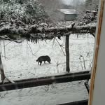 Jean Marc Schaller - @jeanmarcschaller - Instagram