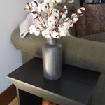 jean rose schillinger - @jeanroseschilling - Instagram