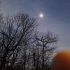 Jean Schultz - @jean.schultz4 - TikTok