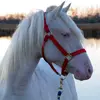 jeanschuster281 - @jeanschuster281 - TikTok