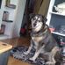 Jean Schwab - Facebook