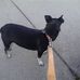 Jean Schwab - Facebook