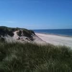 Jean Schwabrow - @jeanschwabrow - Instagram