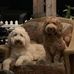 Jean Alwine Seitz - Facebook