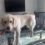 Jean Seitz - @jean.seitz.50 - Instagram