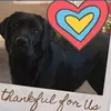 jeannineseitz - @jeannineseitz - TikTok