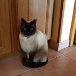Jean-Luis Selman - @jeanluisselman - Instagram