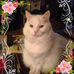 Jean Selman - Facebook
