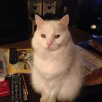 Jean Selman - @jeanselman - Instagram