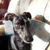 Jean Shipman - Facebook
