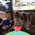 Jean Shumaker - Facebook