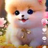 Silvia Jean - @silvia.jean4 - TikTok