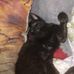 Kylah Jean Slocum - Facebook