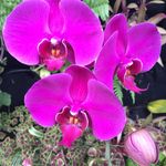 Jean Smith - @jeansmith78 - Instagram