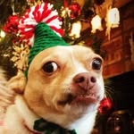 Jean Smith - @smithjean09 - Instagram