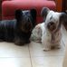 Jean Snelling - Facebook