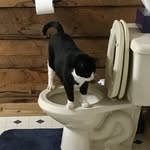 Janice Somerville - @potterybyjanice - Instagram