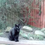 Jean Somerville - Facebook