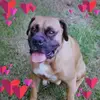 Jean Souffrant - @jean.souffrant8 - TikTok