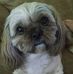 Jean Spaulding - Facebook