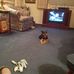 Jean Spurlock - Facebook