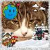 Jean Squire - Facebook