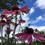 Jean Squire - @jean.squire.7549 - Instagram