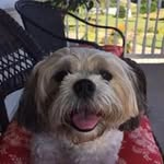 Jean Stacey - @jstacey1208 - Instagram